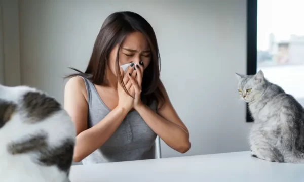 Asthma Training