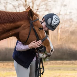 Horse Training