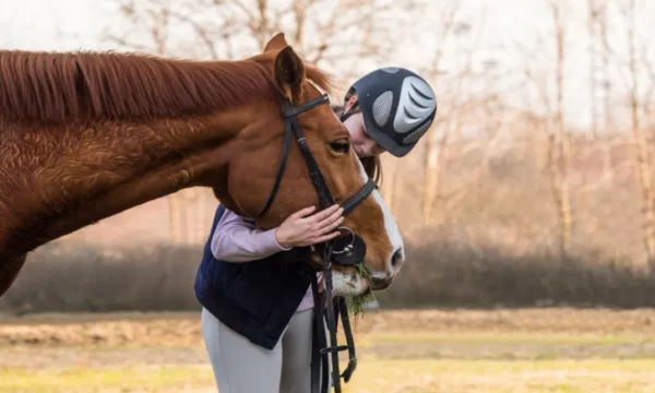 Horse Training