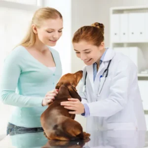 Animal Care Course