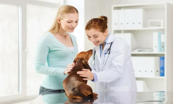 Animal Care Course