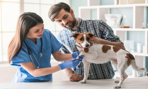 Dog Health Care Course