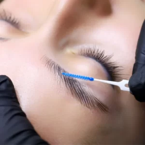 Online Brow Lamination Course