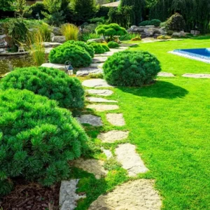 Landscape Gardening Course