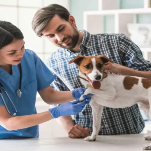 Dog Health Care Course